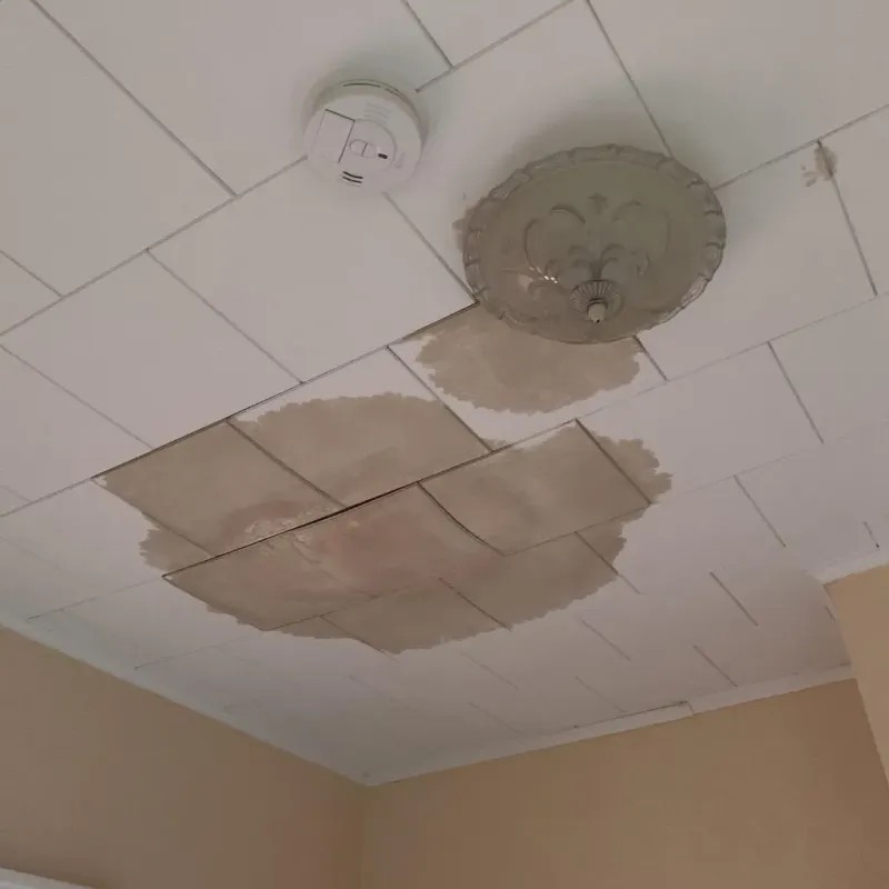 Ceiling Water Damage Repair in Wythe County, VA