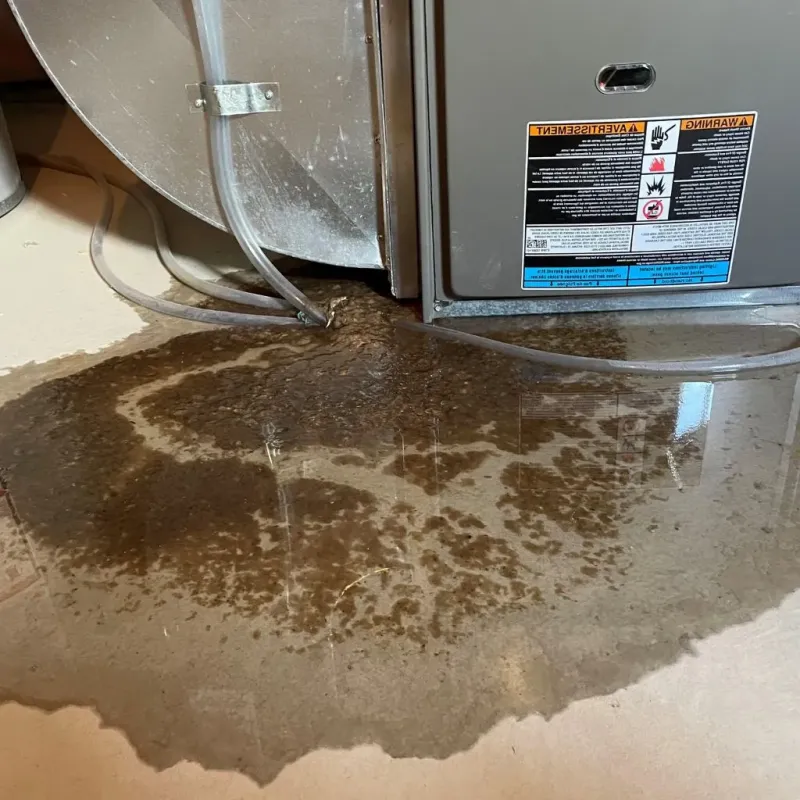 Pipe Burst and Leak Restoration in Wythe County, VA