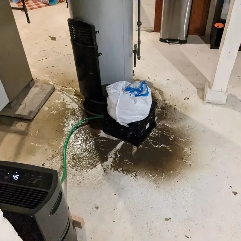 Sewage Backup Cleanup Service in Wythe County, VA